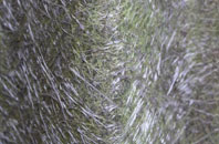 Armagh fibreglass roof work